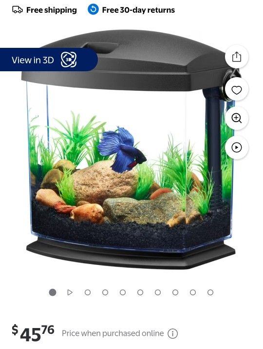 Fish Tank Small