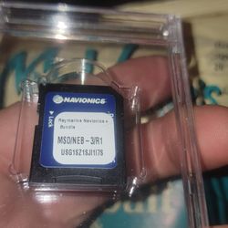 Navionics + Preloaded Raymarine Bundle SD/MSD