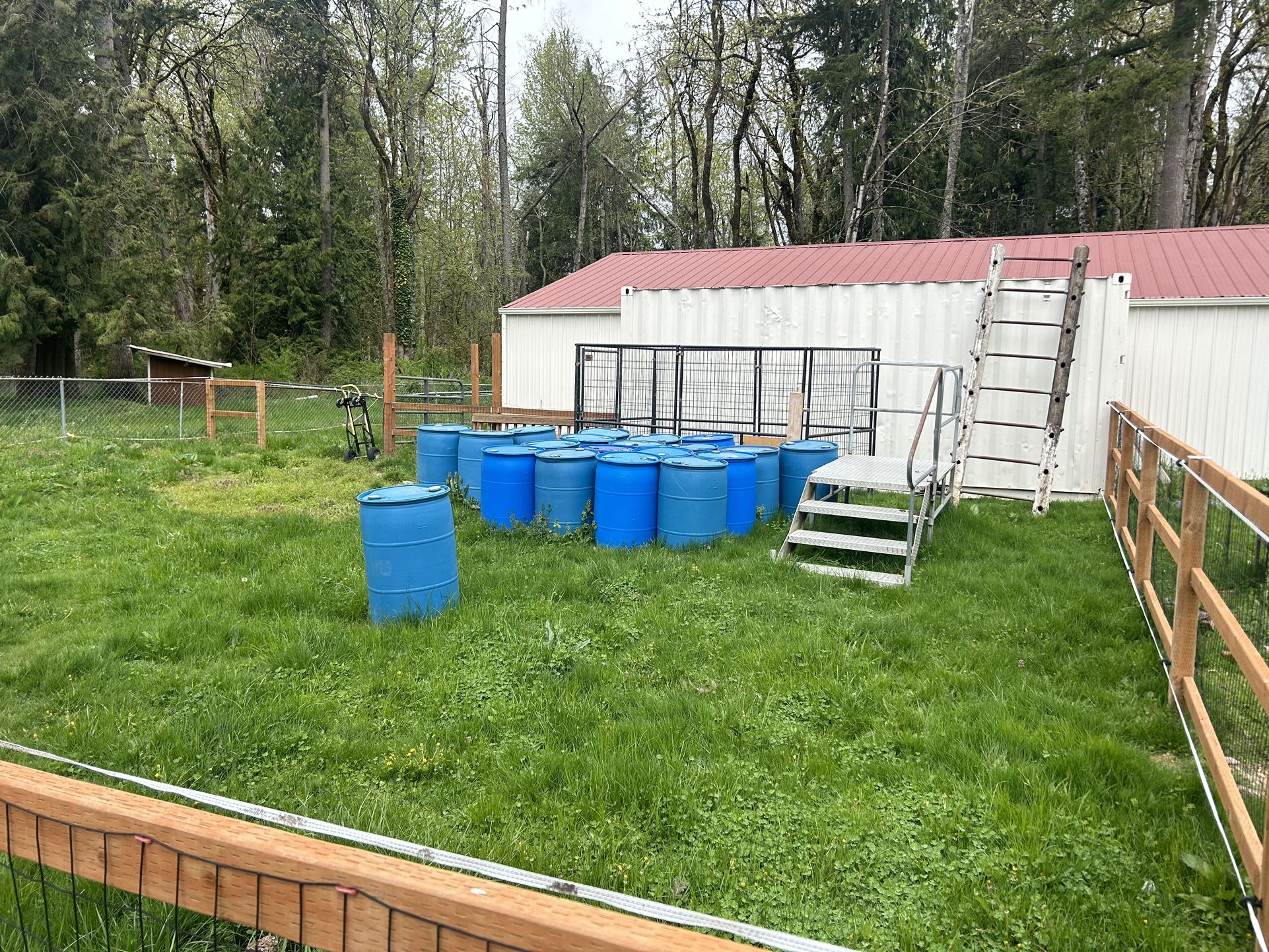 55 Gallon Blue Plastic Drums