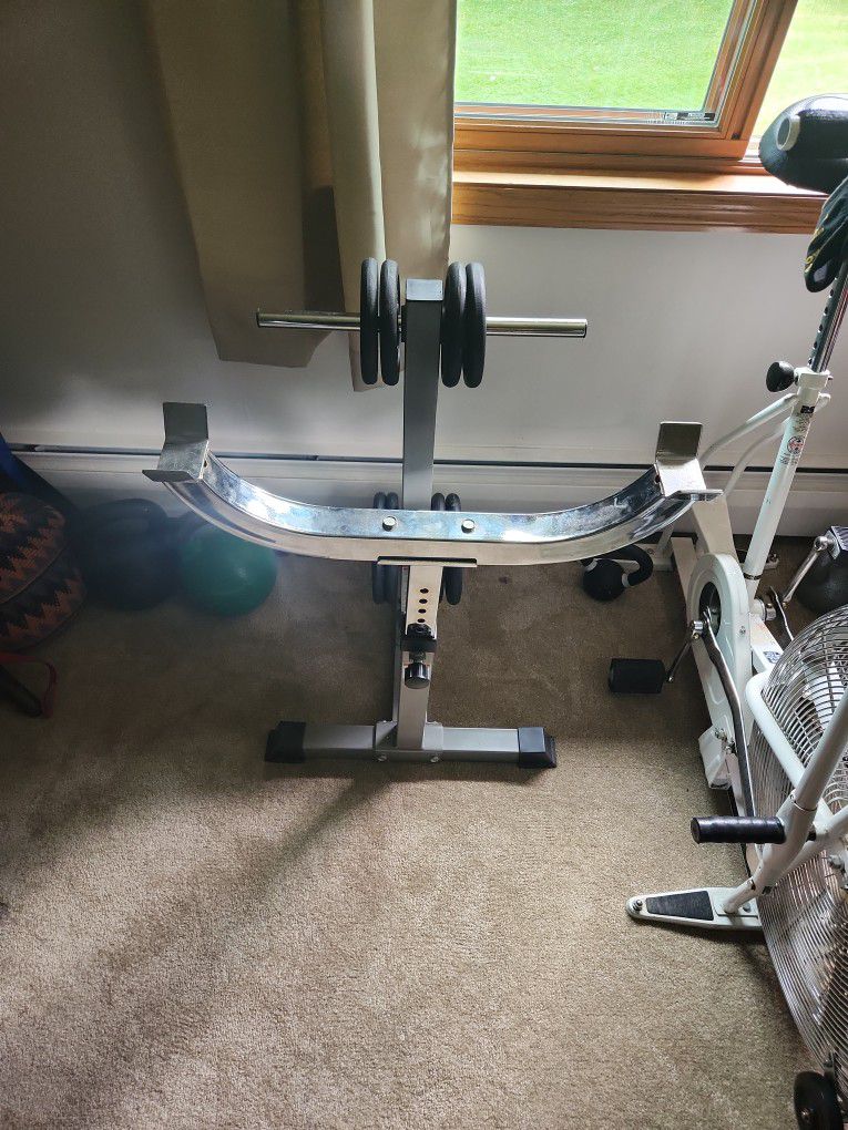 Curl Bar Stand + 60lbs of Iron