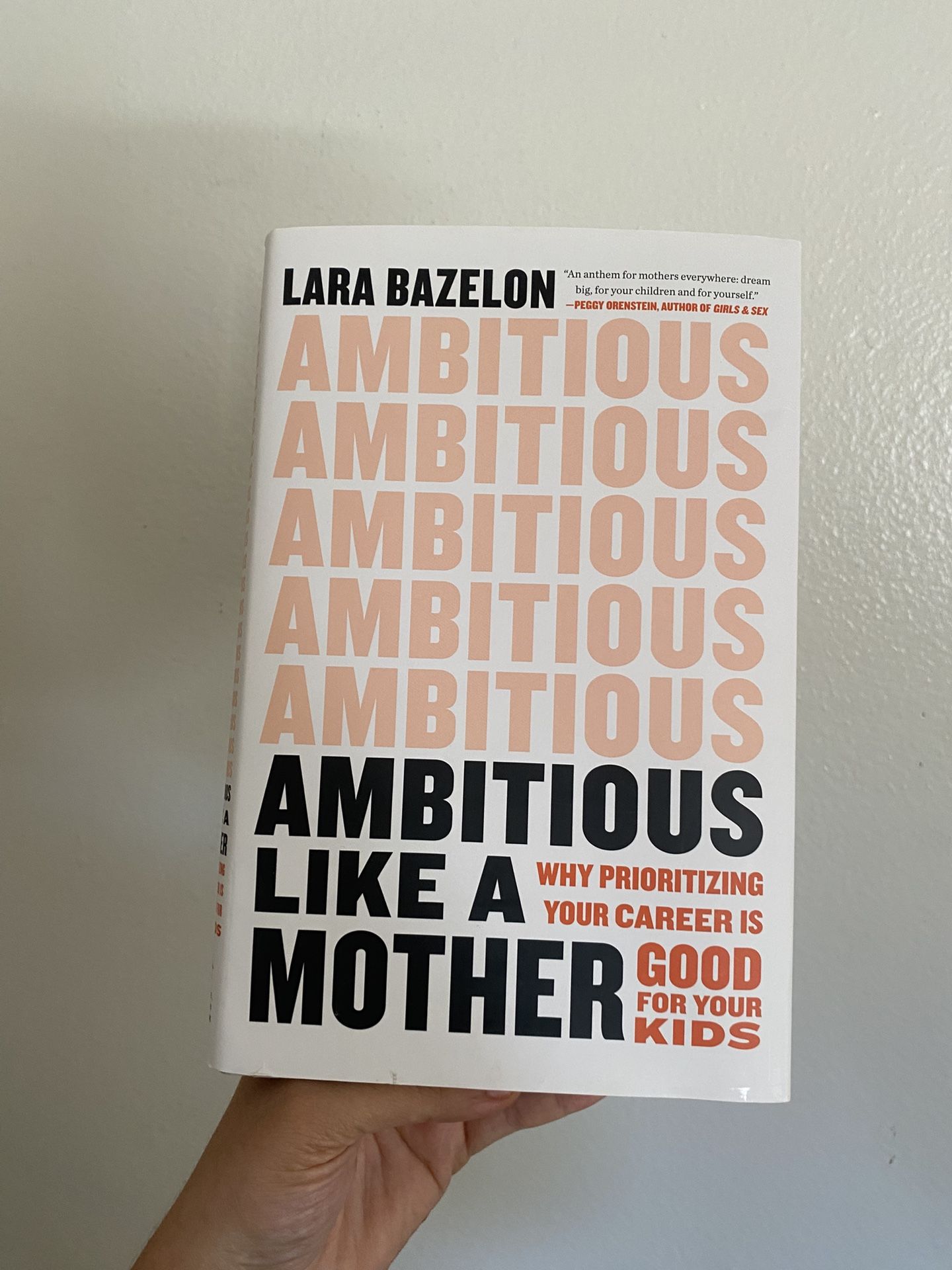Ambitious Like A Mother Book