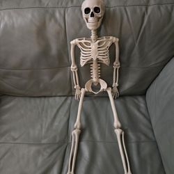 38 " Posable Skeleton Decoration 
