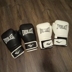 Everlast Boxing Gloves 