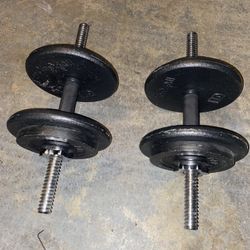 Dumbbell / Barbell With 60 Lbs Of Weight Total