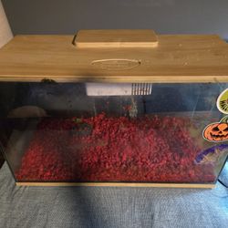 FREE used fish tank