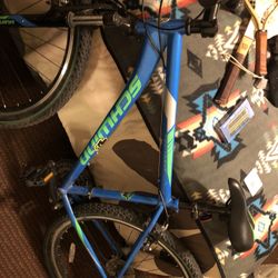 Schwinn Mountain Bike
