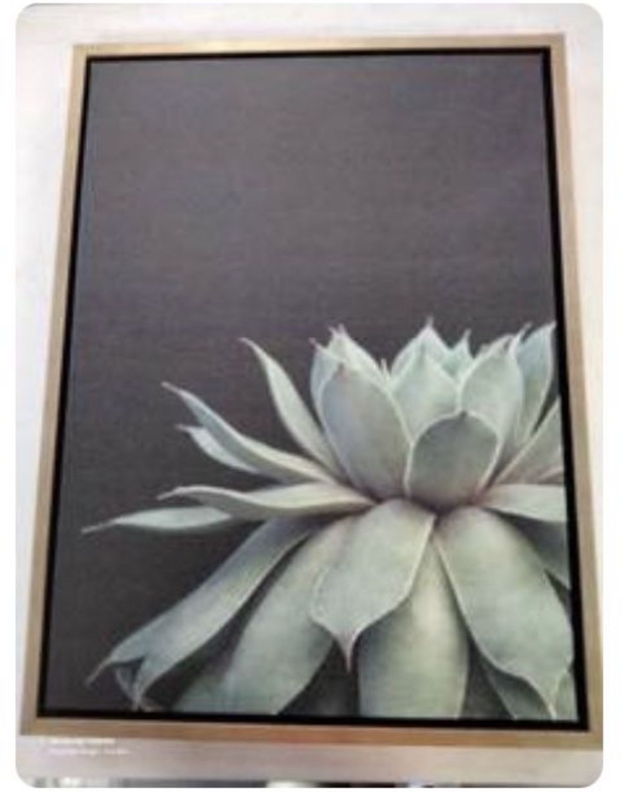 Wall canvas 18" * 24"