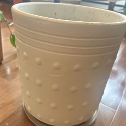 Indoor flower pot