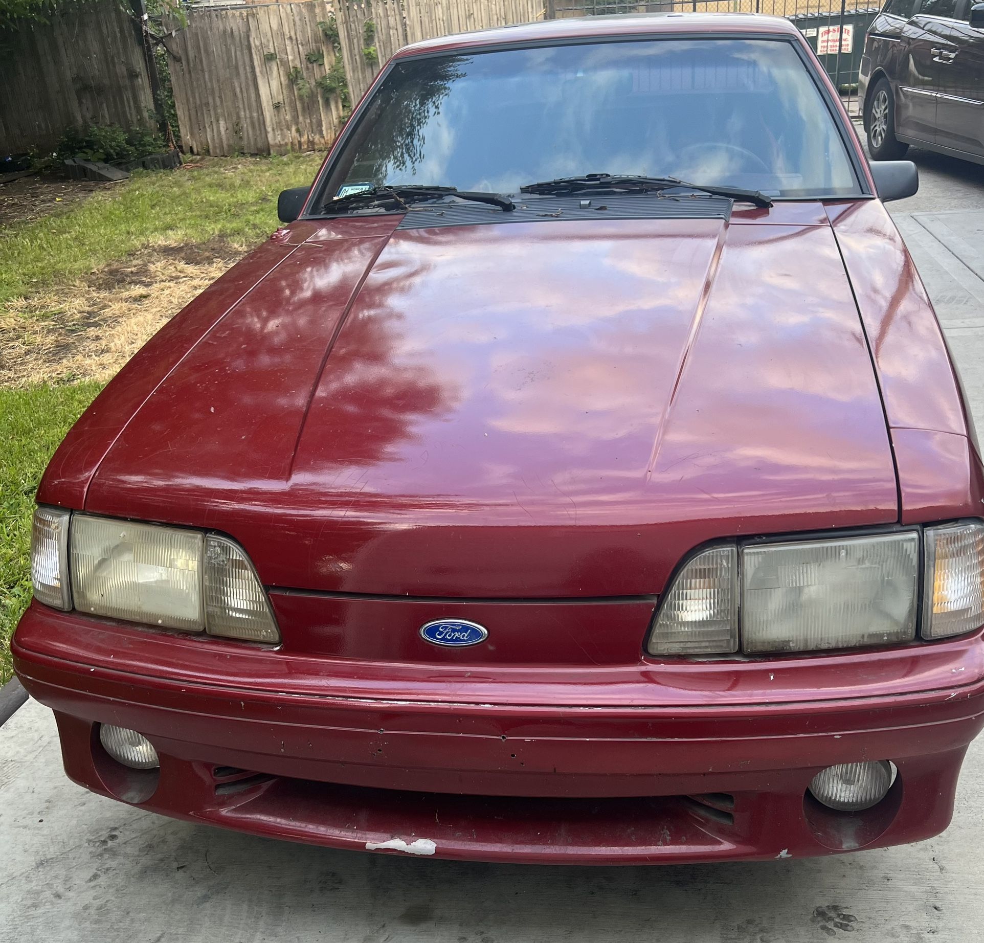 Red Mustang 