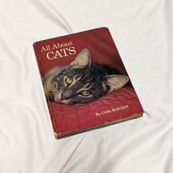 All About Cats Book