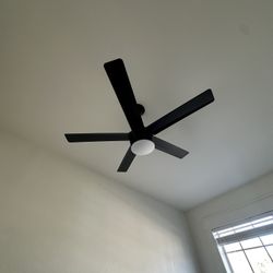 Ceiling Fans 