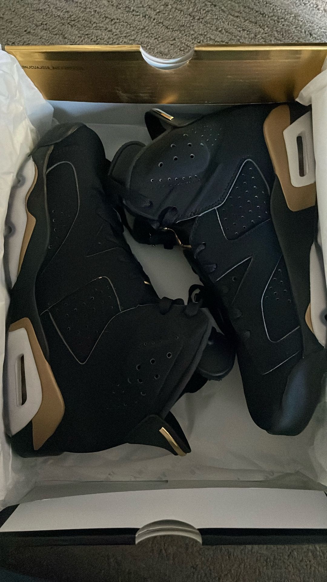 Air Jordan 6 Retro DMP