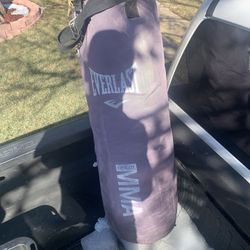 Punching Bag