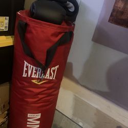Punching Bag And Gloves 