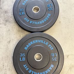 35lbs Weight Plates