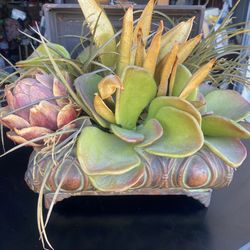 Artificial Plant