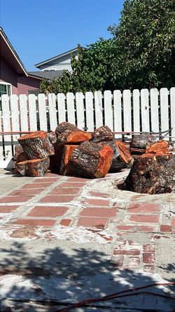 Free Large Cut Tree Logs / Wood Chunks