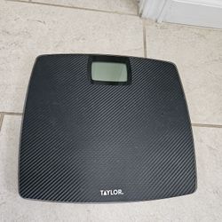 SCALE.   VASCULA 