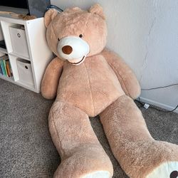 Teddy Bear