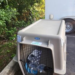 Dog Case