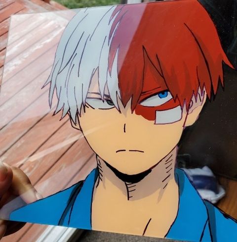 Shoto Todoroki