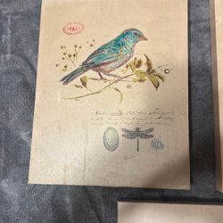 Canvas Paintings and Home, Interior Decor