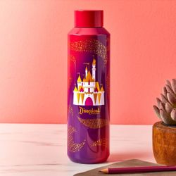 DISNEY DISNEYLAND STARBUCKS SLEEPING BEAUTY CASTLE STAINLESS STEEL WATER BOTTLE