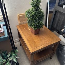 End Table And Faux Plant 