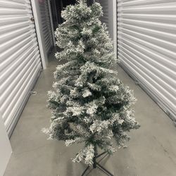 Christmas Tree 4.5F