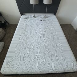 Queen Bed and mattress
