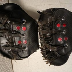 Special Edition Harley Davidson Plastic Saddlebags with Hardware