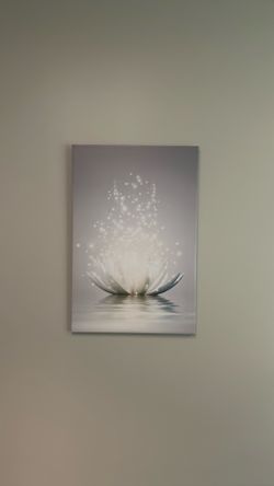 Cavas Art (2)