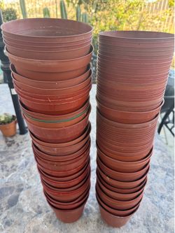 Used 6” plastic pots