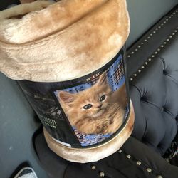 Kitty  Blanket