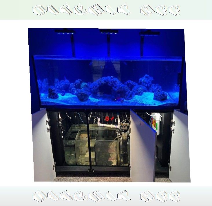 Massive Aquarium Tank - Wide & Stunning Display one allow