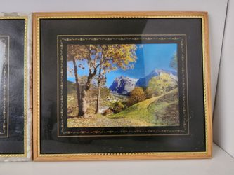 Nature Picture Frames