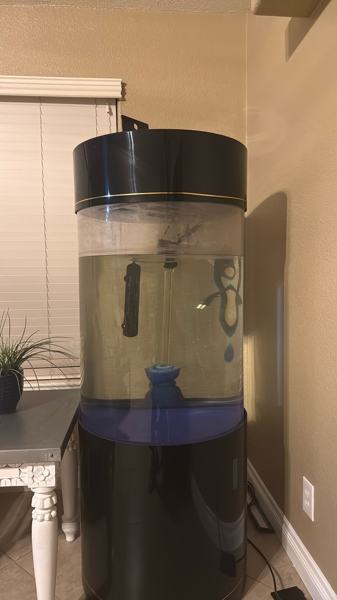 Cylinder Fish Tank