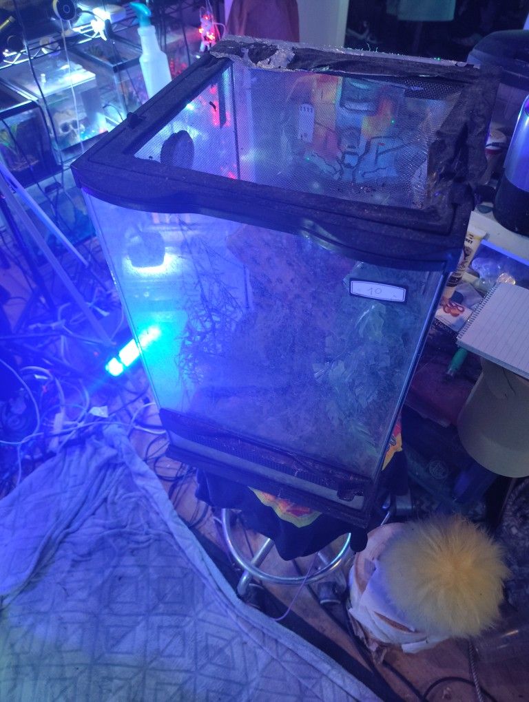 Reptile Small Enclosure Great For Baby Chameleons Or Anoles !