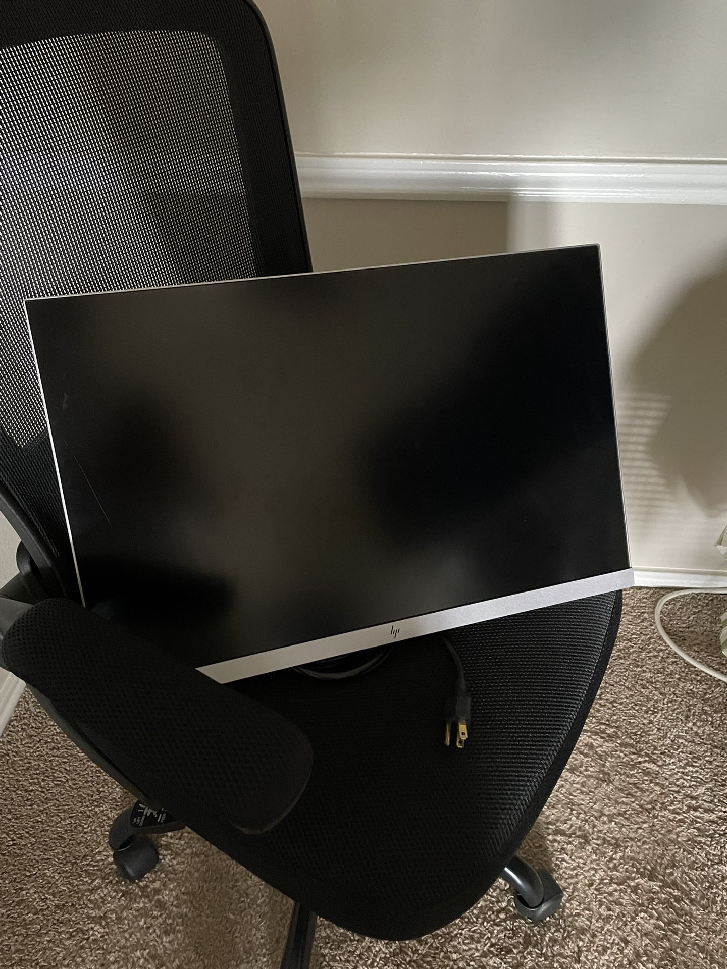 HP Computer Monitor