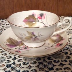 Shelley Bramble England Tea Cup & Saucer Briar Rose Lincoln.