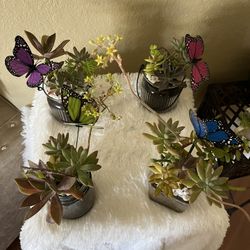 Beautiful Mothers Day Arrangements 🦋 