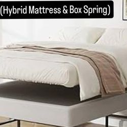 New Hybrid Queen & Box spring $299 Total