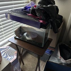 Small 5 Gallon Tank