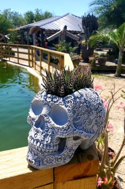 Plantern Gray Cement Skull Plantern With Succulents.
