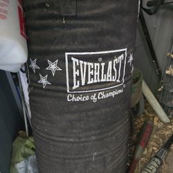 Everlast Punching Bag