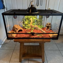 Reptile/Terrarium/Aquarium 50 Gallon front opening tank with full set up  ( No animals included ) ( Have More Tanks Available  ) *** Great Condition *