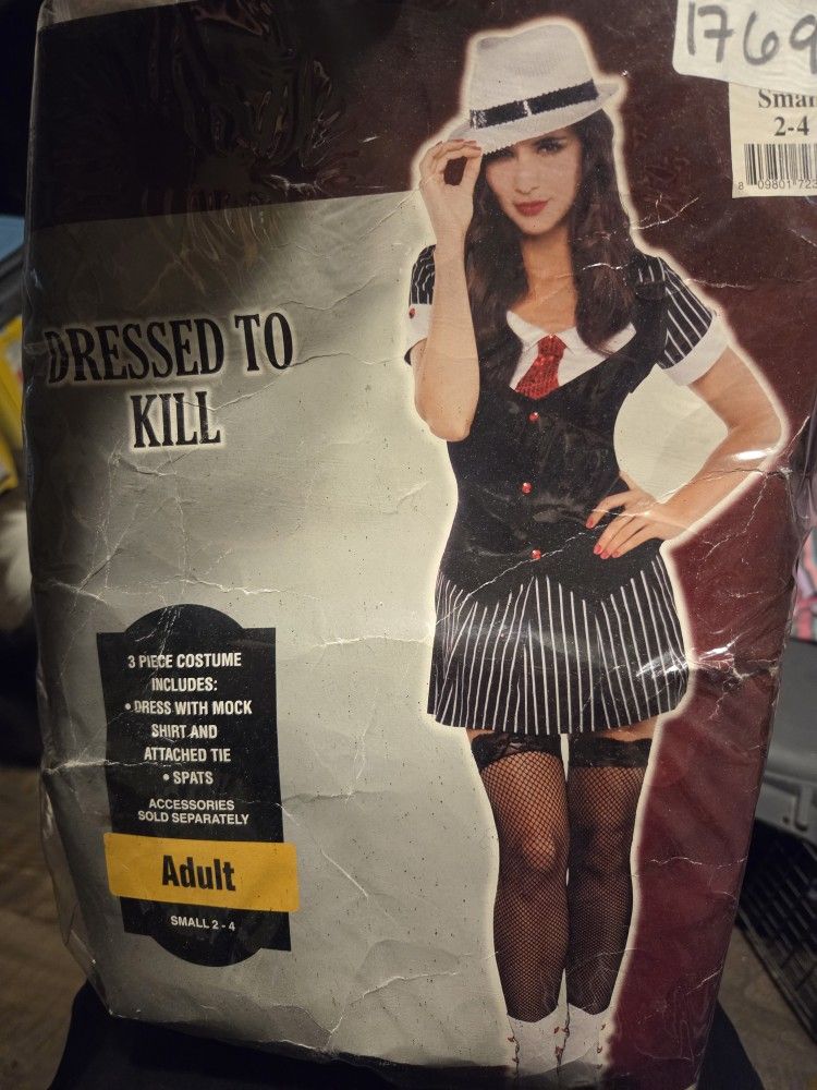Halloween Costume 