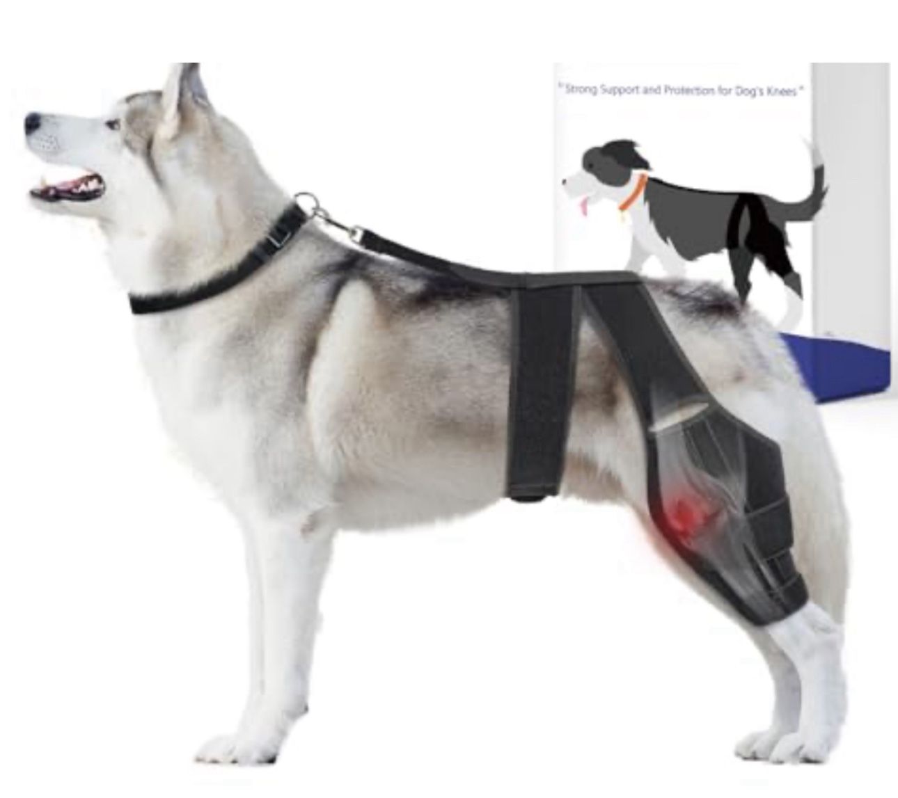 Dog Knee Brace For Torn ACL Hind Leg, Dog Leg Brace For XLARGE