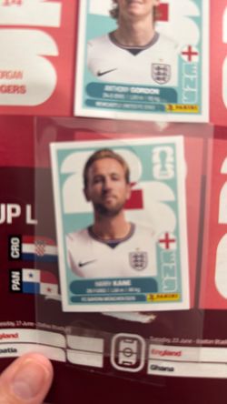 Panini sticker harry kane