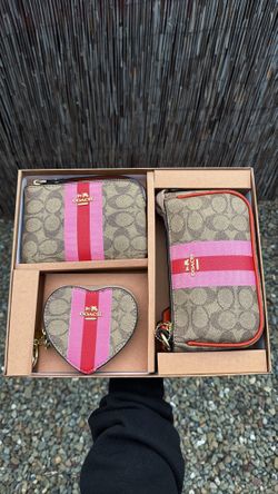 Coach Purse Set
